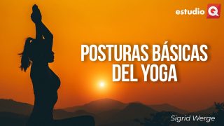 POSTURAS BÁSICAS DEL YOGA con SIGRID WERGE