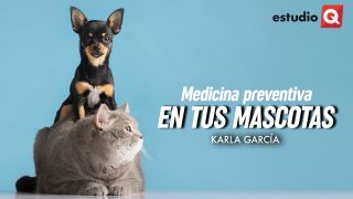 MEDICINA PREVENTIVA EN TUS MASCOTAS con KARLA GARCÍA