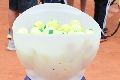  Lanzadora de pelotas.