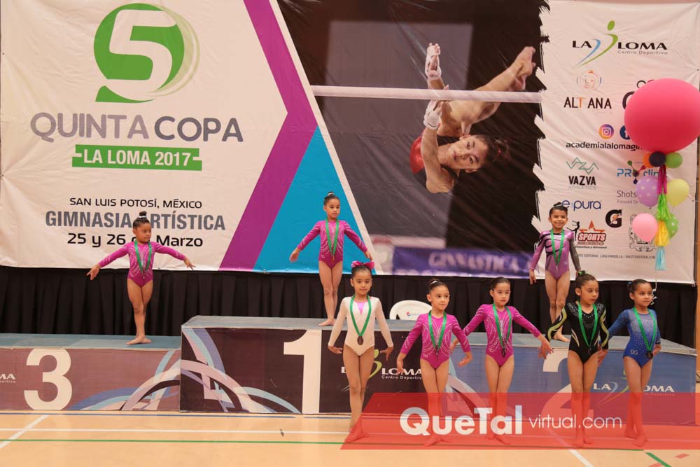 Que Tal Virtual Revista Sociales San Luis Potosi S L P Quinta Copa De Gimnasia Artistica