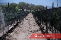  Cava Festival del Vino Hecho en México.