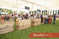 CAVA Festival .