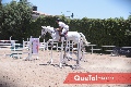  Competencia de Salto en Ecuestre San Carlos.