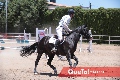  Competencia de Salto en Ecuestre San Carlos.