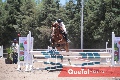  Competencia de Salto en Ecuestre San Carlos.