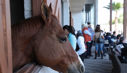  Exhibición ecuestre.