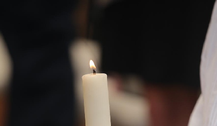  Vela.