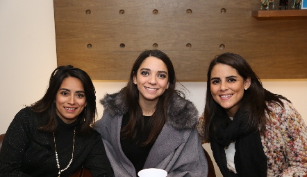  Alejandra Quesada, Sofía Álvarez y Paola Hernández.