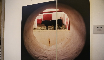 Obra de Memo García.