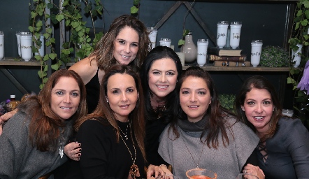 Claudia Altamirano, Marijó Pedrero, Cristy Villalobos, Christiane Esper, Adriana y Daniela Calderón.