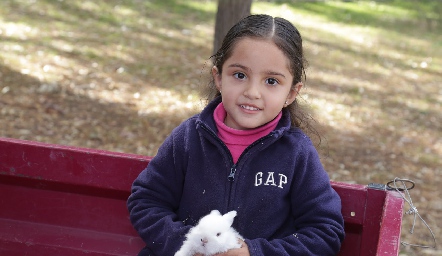  Amaya.