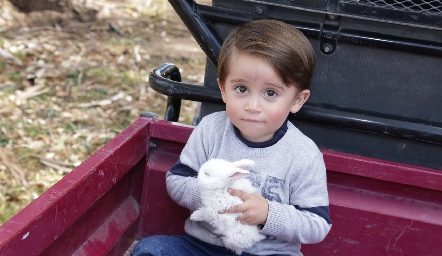  Mateo.