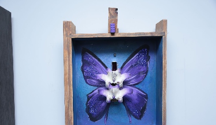  Metamorfosis.