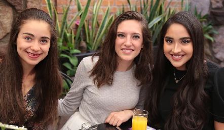  Andrea Carbajal, Valeria Rangel y Salma Mustre.