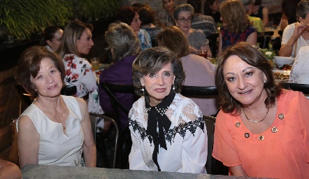  Pilar Nava, Lourdes Barragán y Bertha Rodríguez.