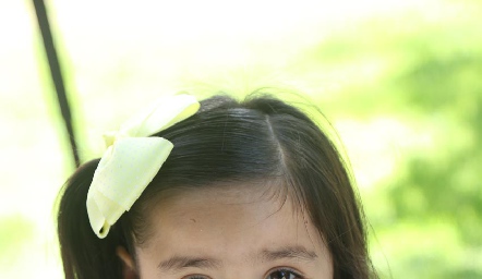  Sofi.