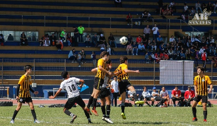  Férrea defensa.