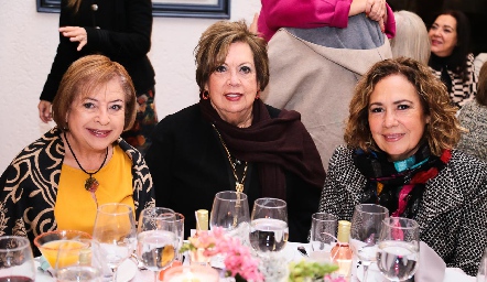  Graciela Castillo, Alicia Castillo y Rosy Castillo.
