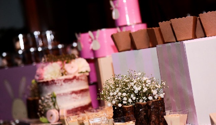  Baby Shower para Fer Castillo.