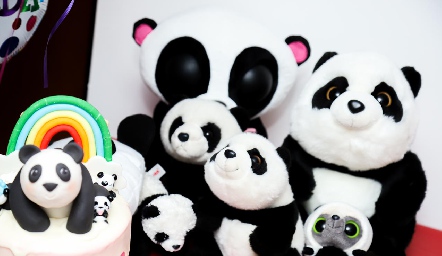  Familia panda.
