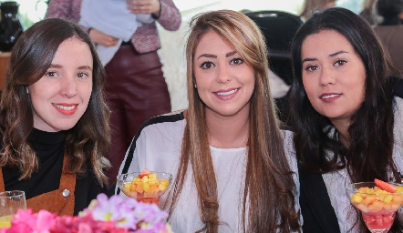  Sofía Guevara, Fer Contreras y Andrea Díaz Infante.