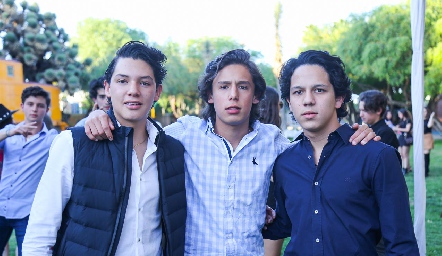  Amigos.