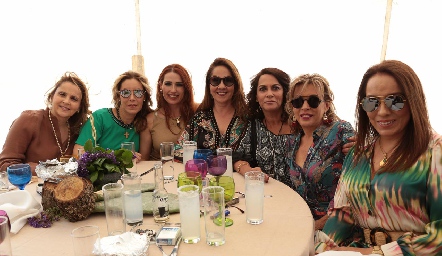  Anabell Gaviño, Anna Astrid Navarro, Adriana Jiménez, Gaby Payán, Raquel Altamirano, Alicia de Alba y Lorena Herrera.