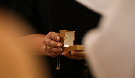  Los anillos.