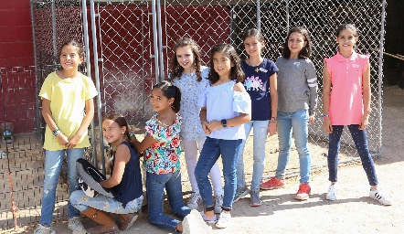  Buenas amigas.