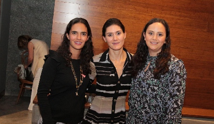  Mariana Vivanco, Paulina Vivanco y María José Medina.
