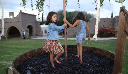 VENDIMIA POZO DE LUNA.