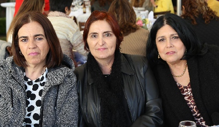  Liliana Chalita, Rocío Delgado y Laura Márquez.