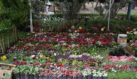 Feria de las flores 2020.