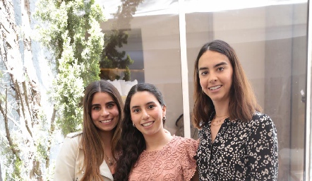  Rocío de la Vega, Paola Córdova y Mercedes Bárcena.