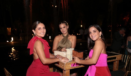  Acompañaron a los novios.