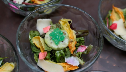  Deliciosos platillos.