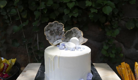  Pastel.