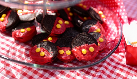 Deliciosas galletas.