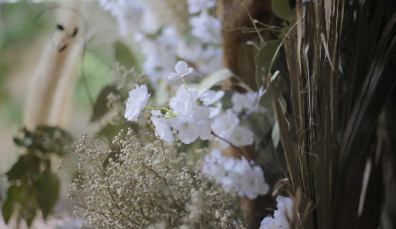  Detalles.