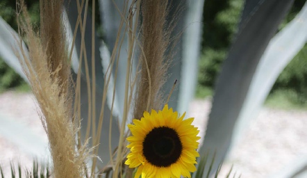  Detalles.