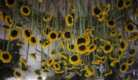  Decoración.