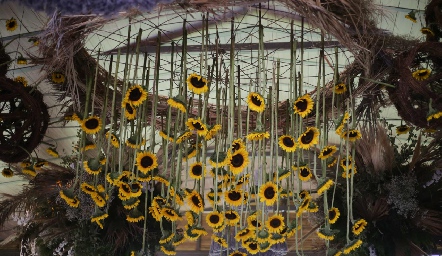  Decoración.