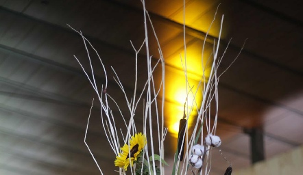  Decoración.