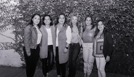  Adriana Calderón, Anilú Enríquez, Deyanira Cázares, Karina Vita, Michelle Zarur y Gaby Carreón.