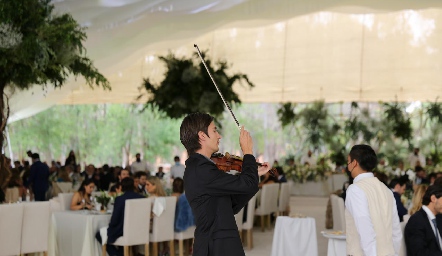  Violinista.