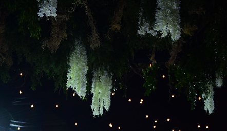  Boda de Tere Ledezma y Luis Torres.