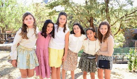  Amigas.