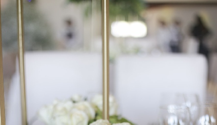 Boda de Jaime Borjas y Zaira Herbert.