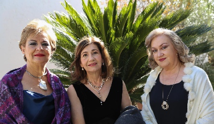  Guadalupe Chávez, Sofía Robles y Laura Nales.