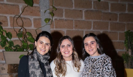  Tere Cadena, Marisol Cabrera y Claudette Villasana.